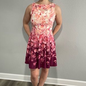 Danny and nicole; Summer dress; Size 4